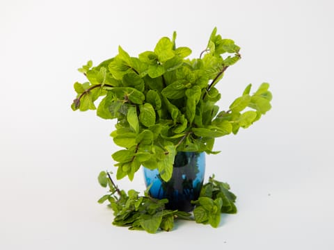 MINT LEAVES (100 GRAMS)