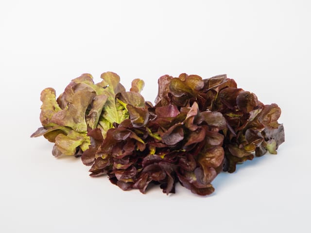 RED OAKLEAF LETTUCE (120 GRAMS)