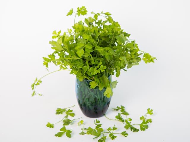 CORIANDER (100 Grams)