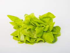 BUTTERHEAD LETTUCE (120 GRAMS)